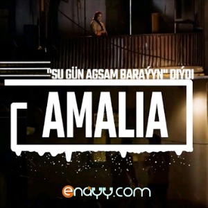 Amalia - Shu gun agsham barayyn diydi